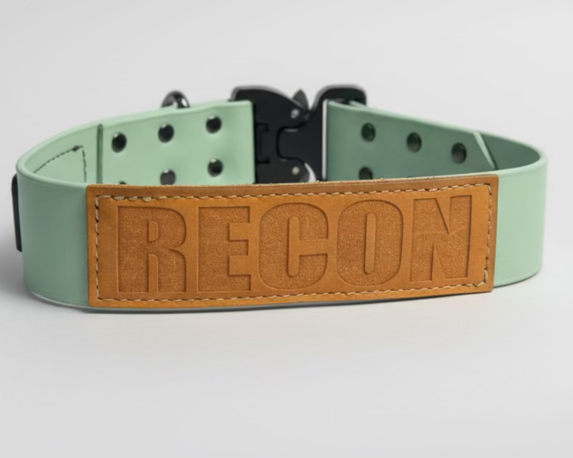 Biothane Adjustable Dog Collar Sage | American Ruffneck Collars