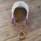 Biothane Maverick Martingale Collar by American Ruffneck Collars, featuring a durable, adjustable design for dogs.