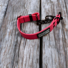 Biothane Maverick Martingale Collar by American Ruffneck Collars, showing a durable, adjustable dog collar with metal hardware.