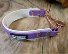 Biothane Maverick Martingale Collar by American Ruffneck Collars, shown in vibrant color with sturdy buckle and leash attachment.