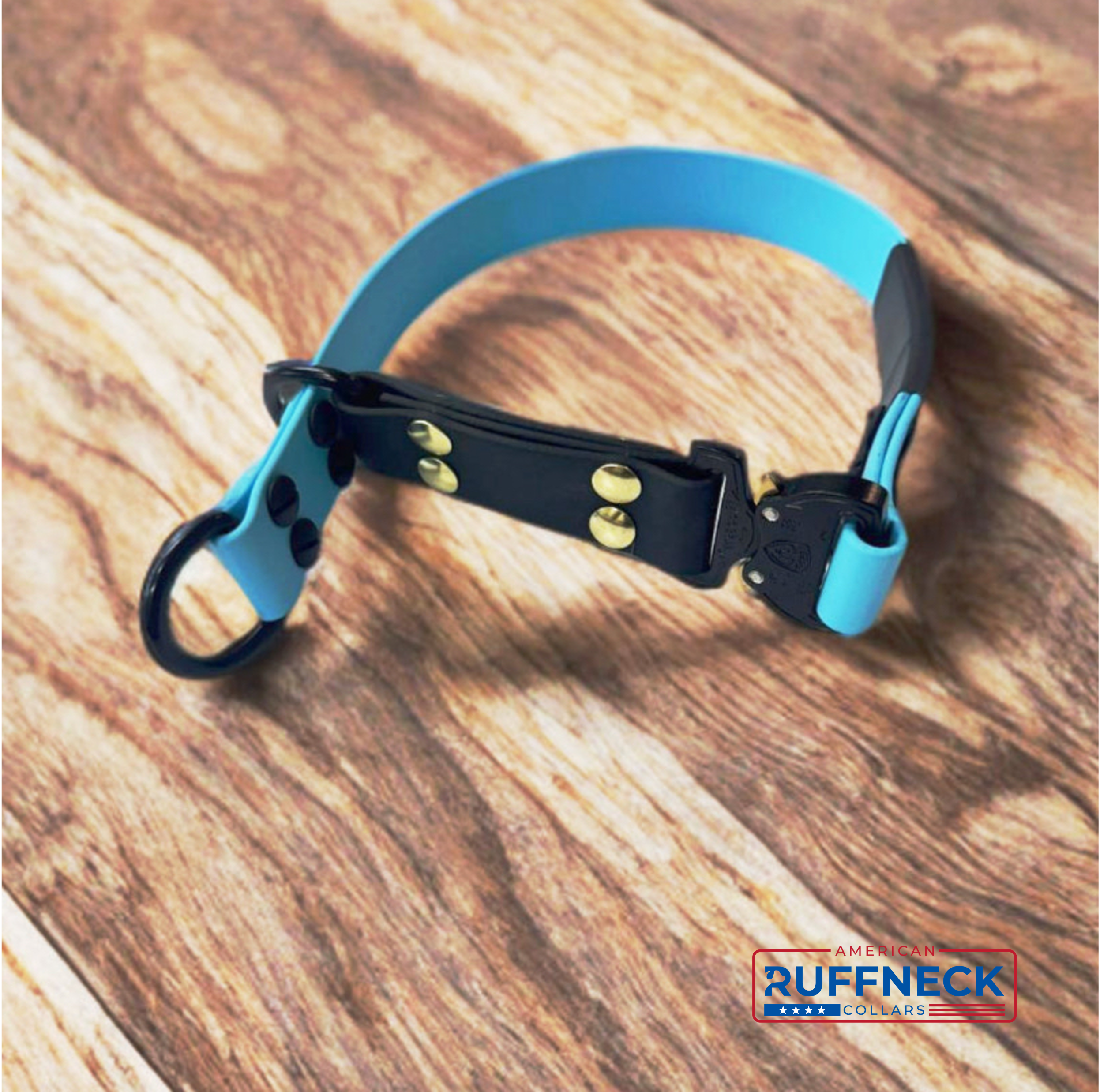 Black Biothane Sentinel slip collar by American Ruffneck Collars with metal hardware on a white background