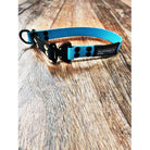 American Ruffneck Collars Sentinel Slip Collar made of durable Biothane with metal hardware, shown in a close-up image.