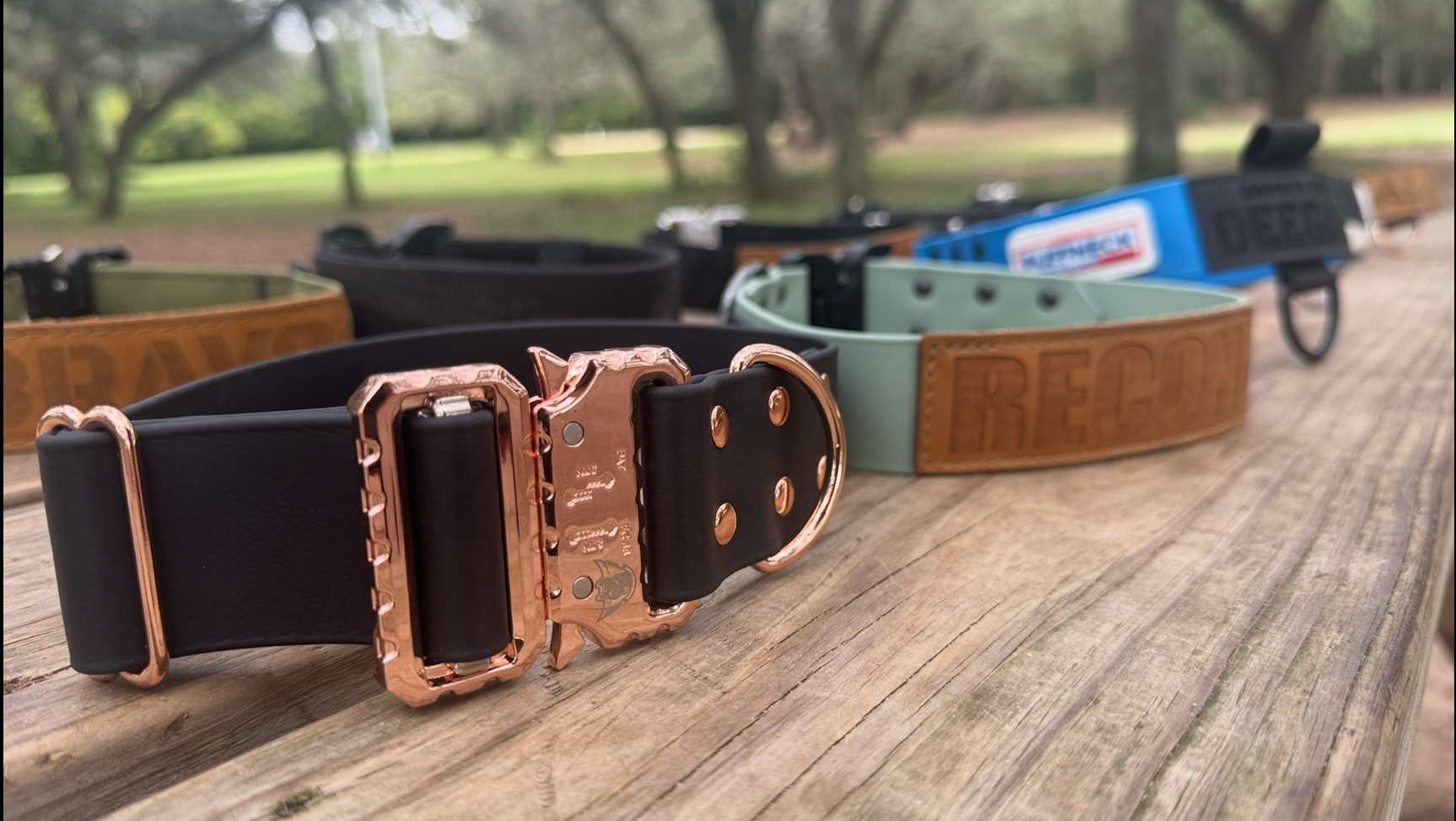 Black and gold Biothane dog collar from American Ruffneck Collars' ATLAS Adjustable Collar collection.