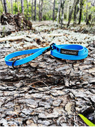 American Ruffneck Collars Daily Drifter dog leash, standard length, durable nylon leash for everyday walks with pets