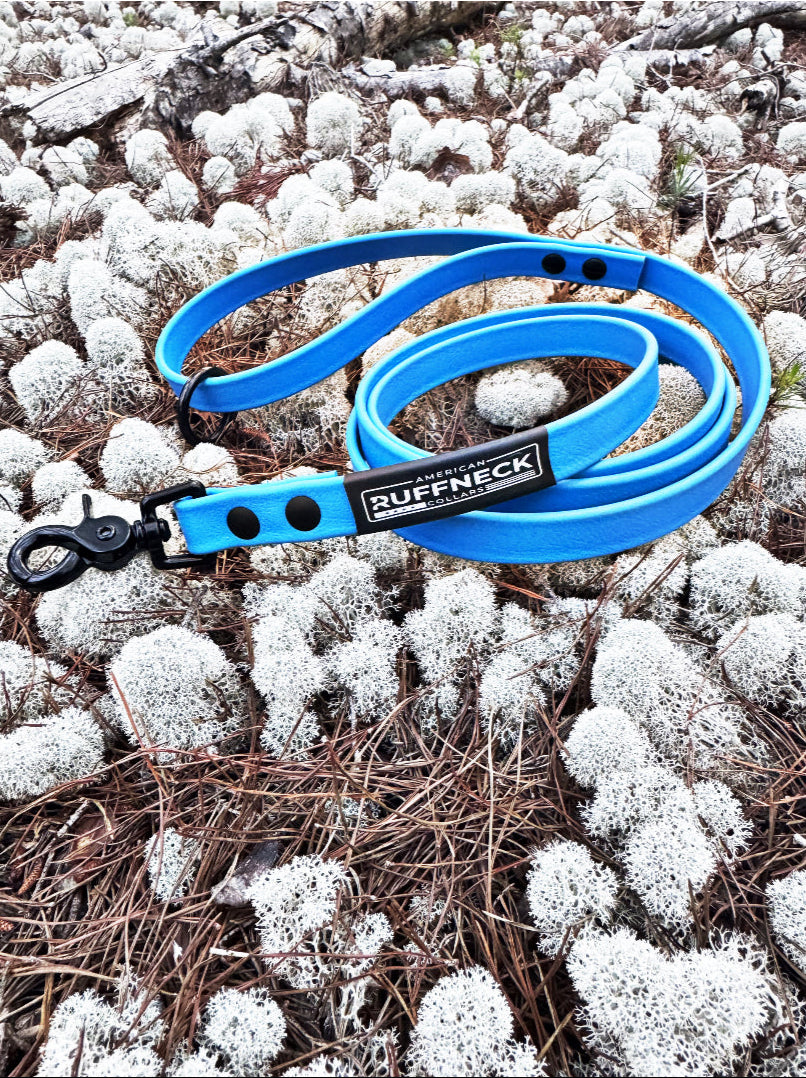 American Ruffneck Collars Daily Drifter dog leash, standard length, durable nylon leash for walking dogs.