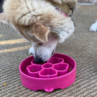Pink flower design SodaPup EBOWL slow feeder bowl for dogs with flower pattern, used for enrichment and feeding.