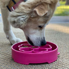 Pink Flower Design SodaPup EBOWL slow feeder bowl for dogs with colorful flower pattern and enrichment features.