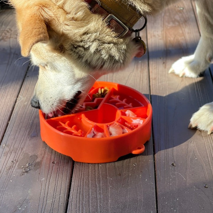 SodaPup Great Outdoors Design EBOWL slow feeder dog bowl with orange outdoor motif, made for enrichment and slowing feeding.