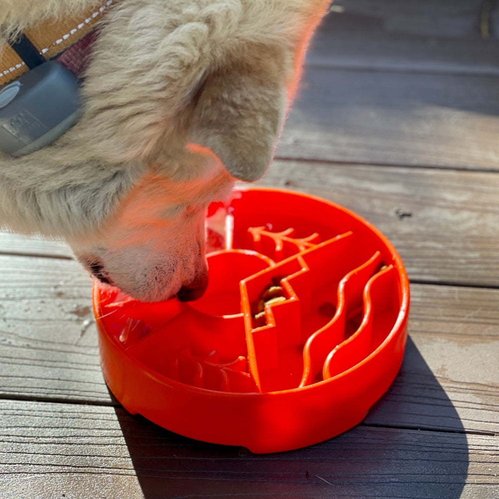 SodaPup True Dogs EBOWL slow feeder bowl with Great Outdoors design in orange for dog enrichment and mealtime fun.
