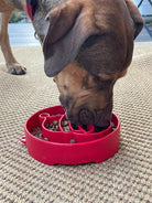 Red Santa design EBOWL slow feeder dog bowl by SodaPup, featuring festive Santa graphics for enrichment and mealtime fun.