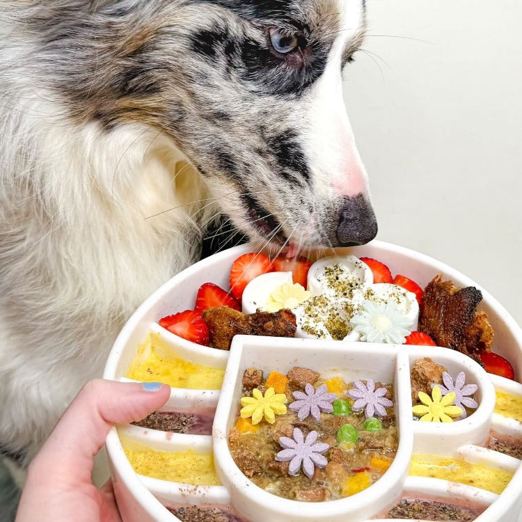 Speckled Java Design SodaPup eBowl for dogs, an enrichment slow feeder bowl with a textured surface for mental stimulation.