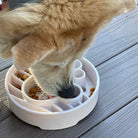 Java Design eBowl for dogs by SodaPup, speckled slow feeder bowl with textured surface for dog enrichment and eating pace control.