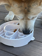 Speckled Java Design SodaPup eBowl for dogs, an enrichment slow feeder bowl with a durable, colorful ceramic finish.