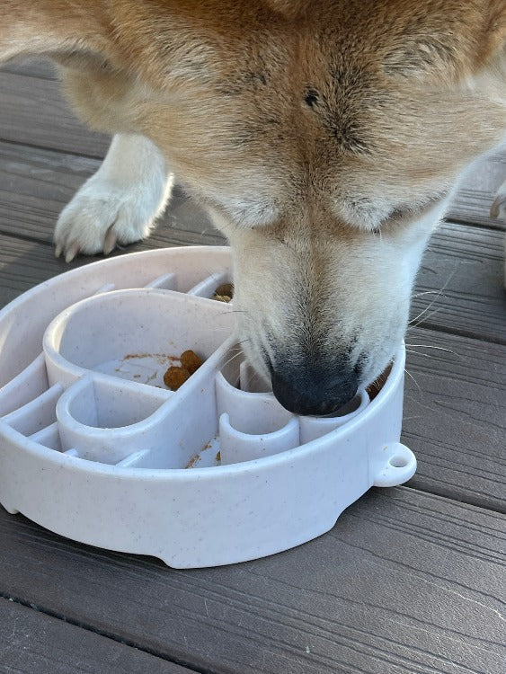 Speckled Java Design SodaPup eBowl for dogs, an enrichment slow feeder bowl with a durable, colorful ceramic finish.