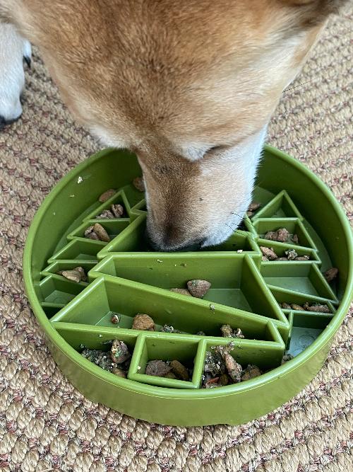 Green SodaPup EBOWL with pine tree design, dog slow feeder bowl for enrichment and mealtime stimulation.
