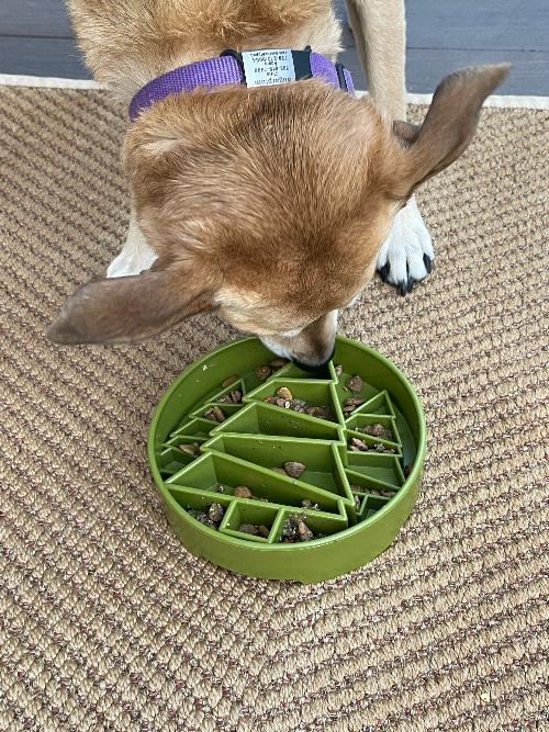 Green Pine Tree Design SodaPup EBOWL slow feeder bowl for dogs with a natural pine tree pattern on durable plastic.