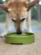 Green Pine Tree Design EBOWL slow feeder bowl for dogs by SodaPup, featuring a detailed pine tree pattern for enrichment.