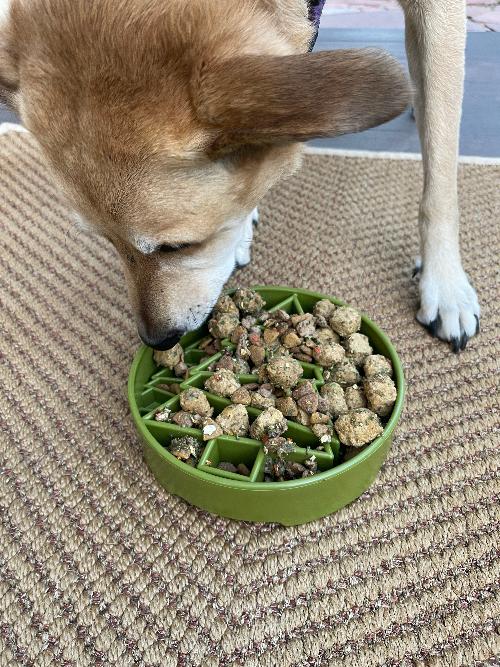 Green SodaPup EBOWL with pine tree design, a dog enrichment slow feeder bowl made by True Dogs, LLC.