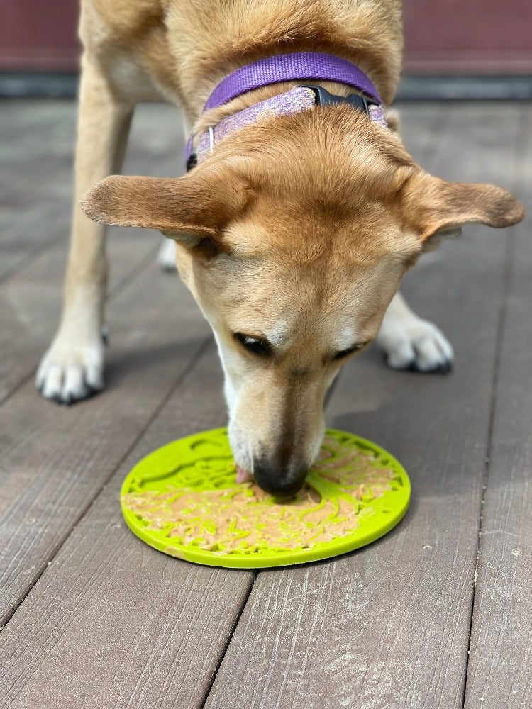 Green Tree of Life design SodaPup EMAT enrichment lick mat with suction cups for dogs, featuring a colorful, textured surface for added engagement.
