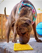 Large yellow Honeycomb Design EMAT Enrichment Lick Mat by SodaPup for dogs, featuring textured honeycomb pattern for mental stimulation.