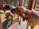 Pastel purple Lotus Design eMat Enrichment Lick Mat with suction cups from SodaPup/True Dogs, LLC, featuring a lotus pattern.