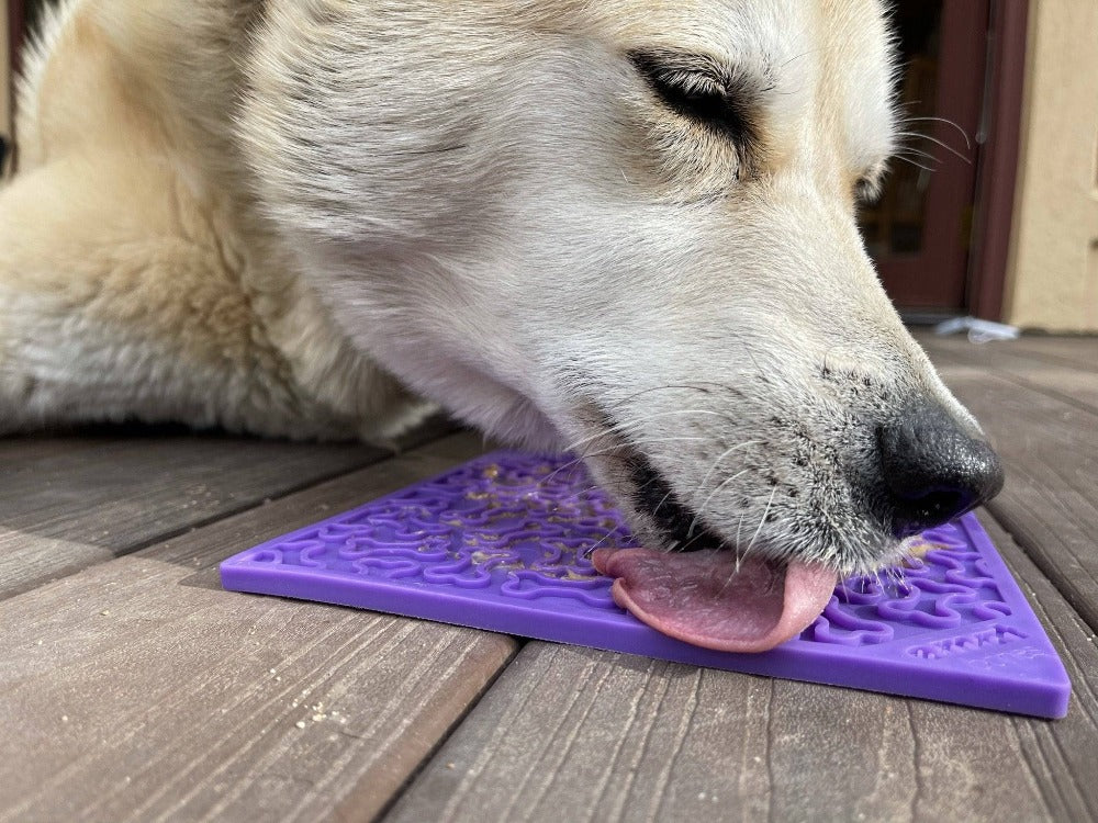 Purple Bones Design eMat Enrichment Lick Mat by SodaPup for dogs, featuring a textured surface for engaging pet enrichment.