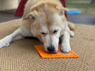 Black Zombie Design EMAT enrichment lick mat by SodaPup/True Dogs, LLC, featuring a spooky zombie pattern for dogs.