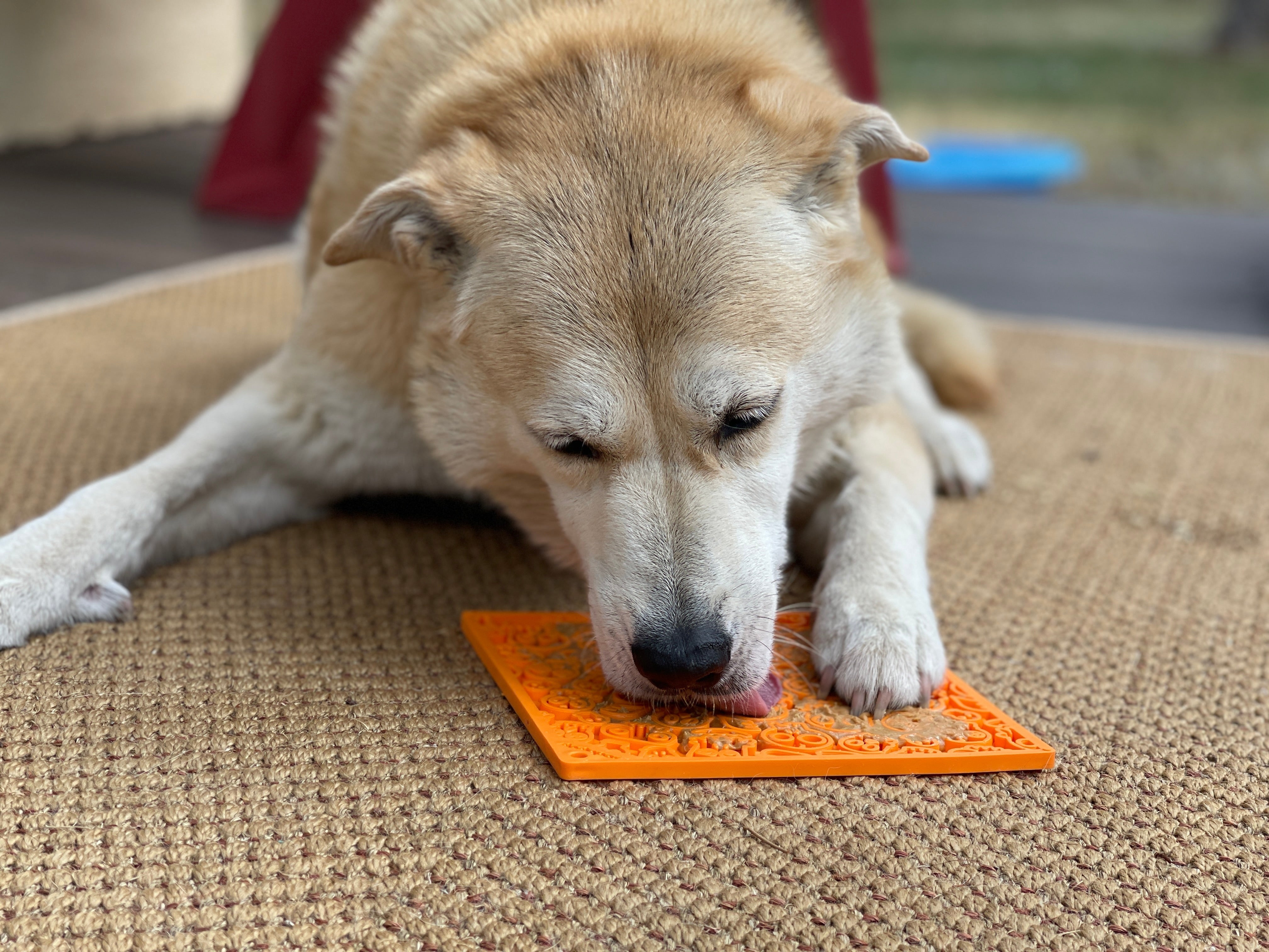 Black Zombie Design EMAT enrichment lick mat by SodaPup/True Dogs, LLC, featuring a spooky zombie pattern for dogs.