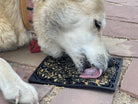 Black EMAT Zombie Design Enrichment Lick Mat for dogs by SodaPup/True Dogs, LLC, showing the zombie-themed pattern.