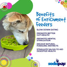 SodaPup Four Seasons Design eTray Enrichment Slow Feeder Dog Bowl in green, shallow bowl with four seasons pattern for dogs.