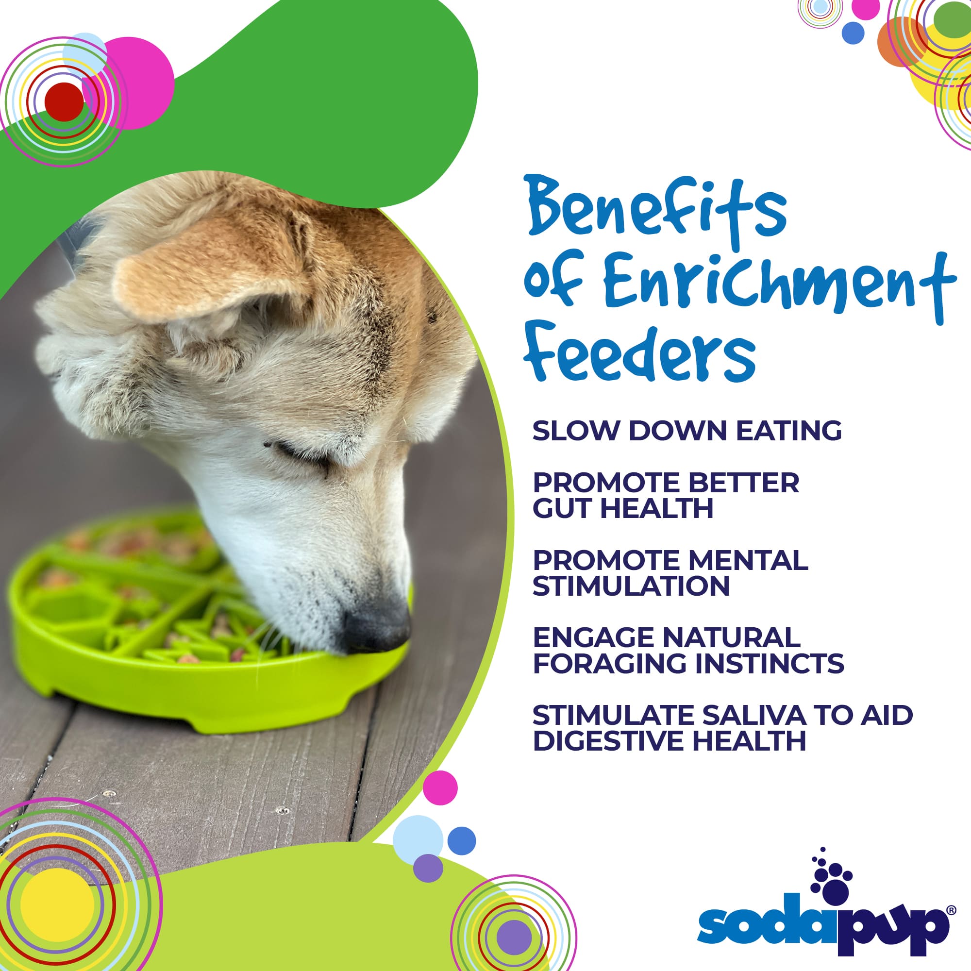 SodaPup Four Seasons Design eTray Enrichment Slow Feeder Dog Bowl in green, shallow bowl with four seasons pattern for dogs.