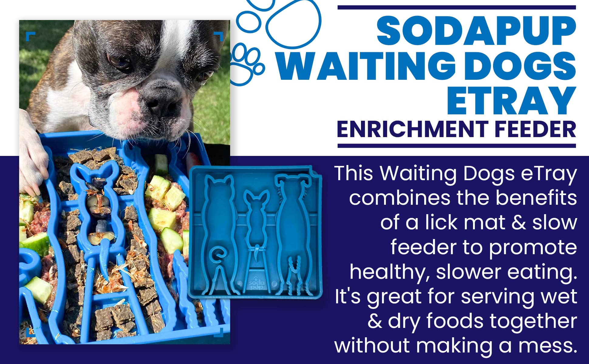Blue Waiting Dogs Design eTray enrichment tray for dogs by SodaPup/True Dogs, LLC, featuring a playful dog pattern.