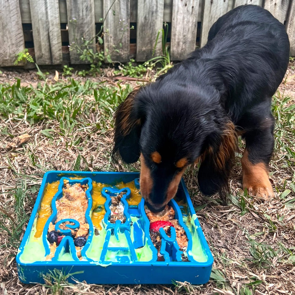 Blue Waiting Dogs Design eTray for dogs by SodaPup/True Dogs LLC, featuring a playful dog waiting illustration on an enrichment tray.