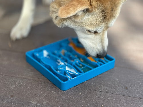 Blue Waiting Dogs design eTray for dogs by SodaPup/True Dogs, LLC, featuring a colorful dog-themed pattern on an enrichment tray.