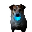 Ultra durable SodaPup Strobe Ball rubber dog toy, floating and perfect for chewing, retrieving, and active play.
