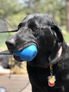 Blue SodaPup Double Trouble durable rubber dog toy with treat dispenser, designed for interactive chewing and play.