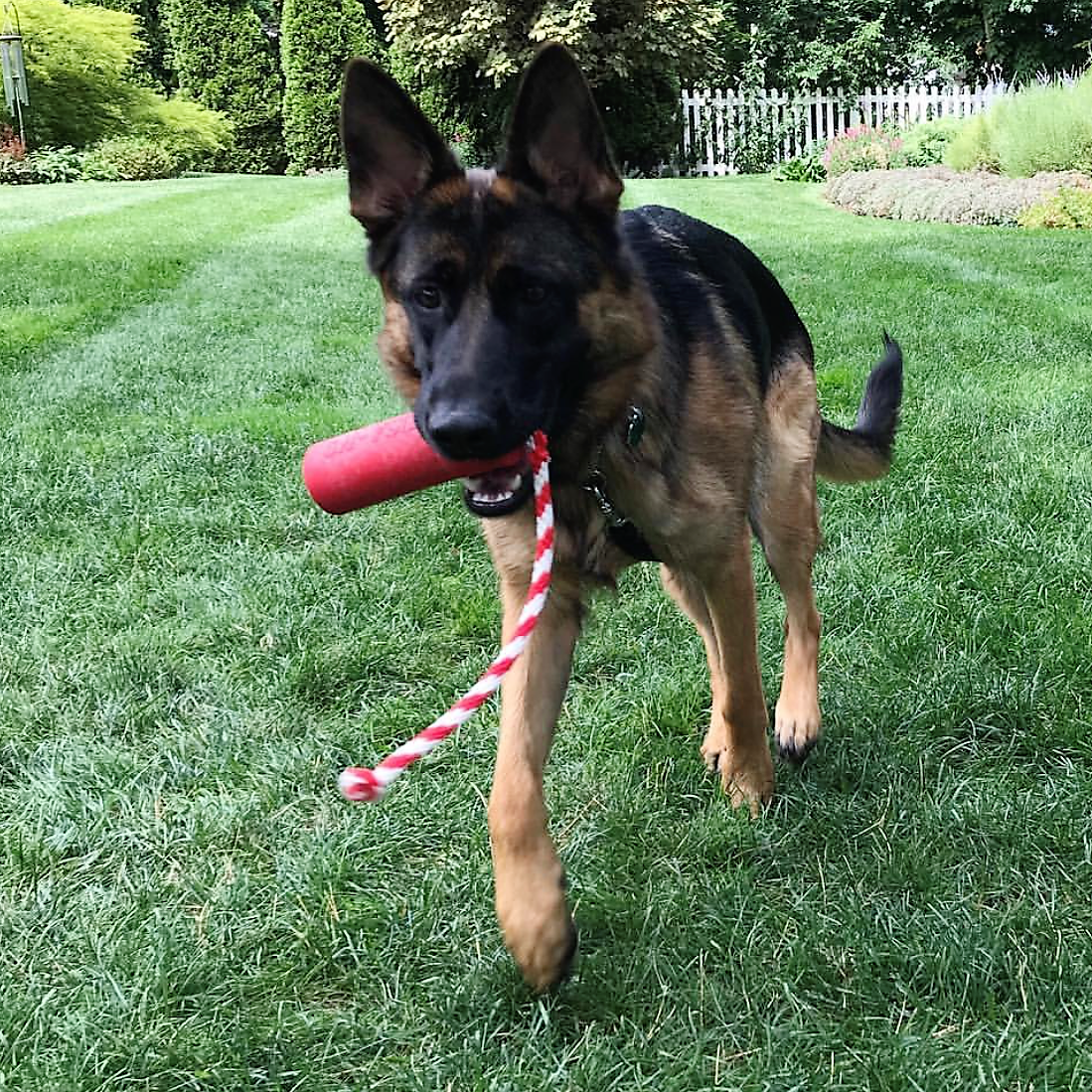 Large red USA-K9 Firecracker durable rubber dog toy, floating training dummy for dogs, by SodaPup/True Dogs, LLC.
