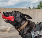 USA-K9 Firecracker durable rubber floating training dummy for dogs, large red sodaPup/True Dogs brand, designed for fetch and training.