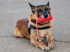 Large red USA-K9 Firecracker durable rubber floating dog training dummy by SodaPup, designed for fetch and water training.