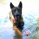 Large red USA-K9 Firecracker rubber dog training dummy, durable floating toy designed for fetch and training by SodaPup/True Dogs LLC