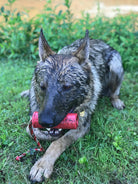 Large red USA-K9 Firecracker rubber dog toy, durable floating training dummy for dogs, by SodaPup/True Dogs, LLC.