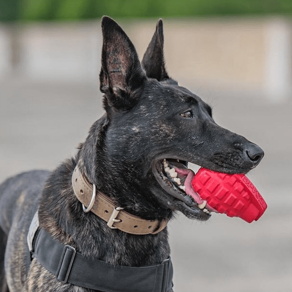 Red USA-K9 Grenade rubber dog toy and treat dispenser by SodaPup, durable chew toy with textured surface for dogs.