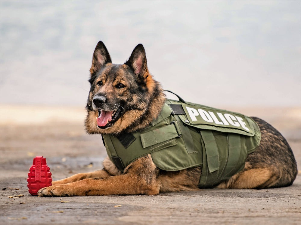 Red USA-K9 Grenade rubber dog toy and treat dispenser by SodaPup/True Dogs, LLC, showing durable rubber with a grenade shape.